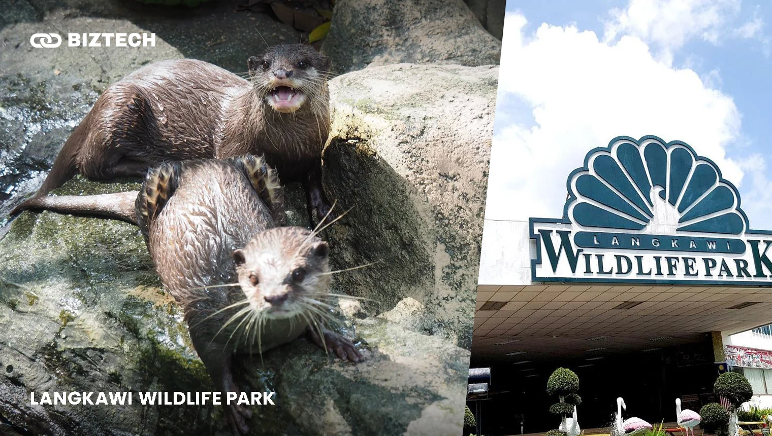 Langkawi Wildlife Park Things to do in Langkawi