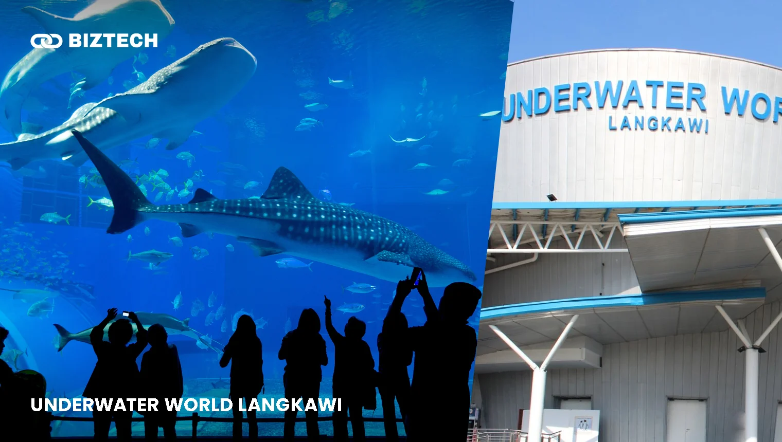 Underwater World Langkawi Things to do in Langkawi